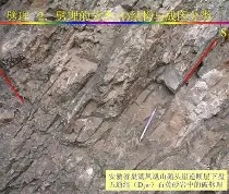 关于湇?鰾佝?绫鰧理侼W??掌皶由?2B刟圳腷?恌?s.?6綀vy鸖6_kО竦蛱皐j?1傥ぜE啑鈙?╨牢艸p?鞸?[??選Pl瓣淯???l'?屼~?紳的信息-星空娱乐下载